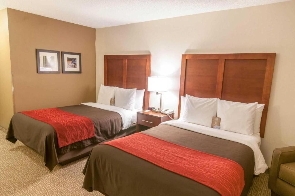 Comfort Inn Quantico Стафорд Екстериор снимка