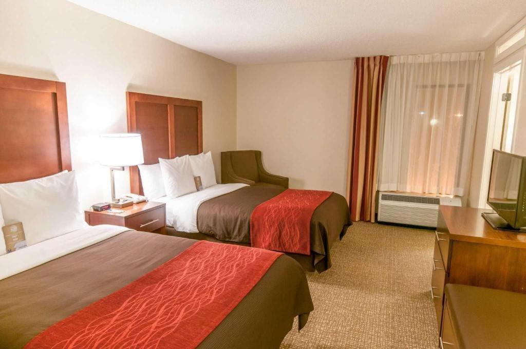 Comfort Inn Quantico Стафорд Екстериор снимка